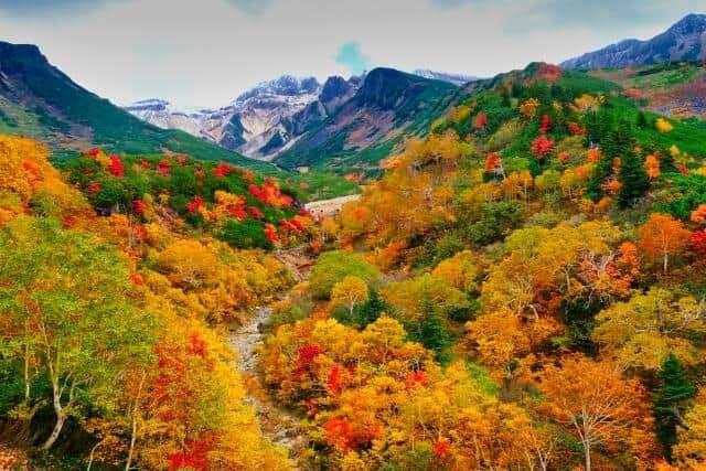 増えた山岳遭難、減った海・河川の水難事故 その原因はコロナ禍にあり！ 50代、60代の登山者多く（鷲尾香一）: J-CAST 会社ウォッチ