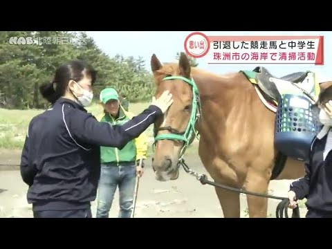 石川県　中学生が馬と一緒に清掃活動 2021.6.3放送 - YouTube