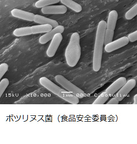 毒を持ってる生物・植物