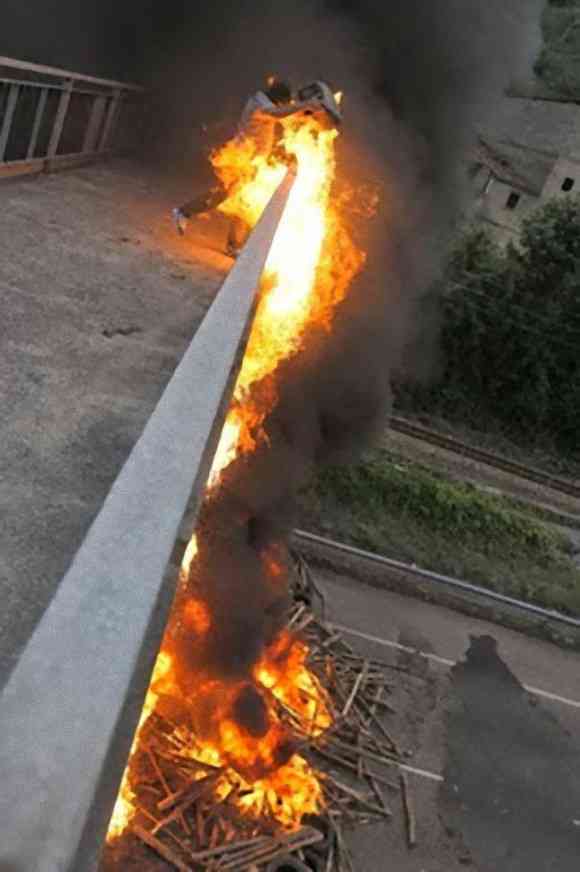 思わず「嘘っ！」と言ってしまいそうな画像を貼るトピ