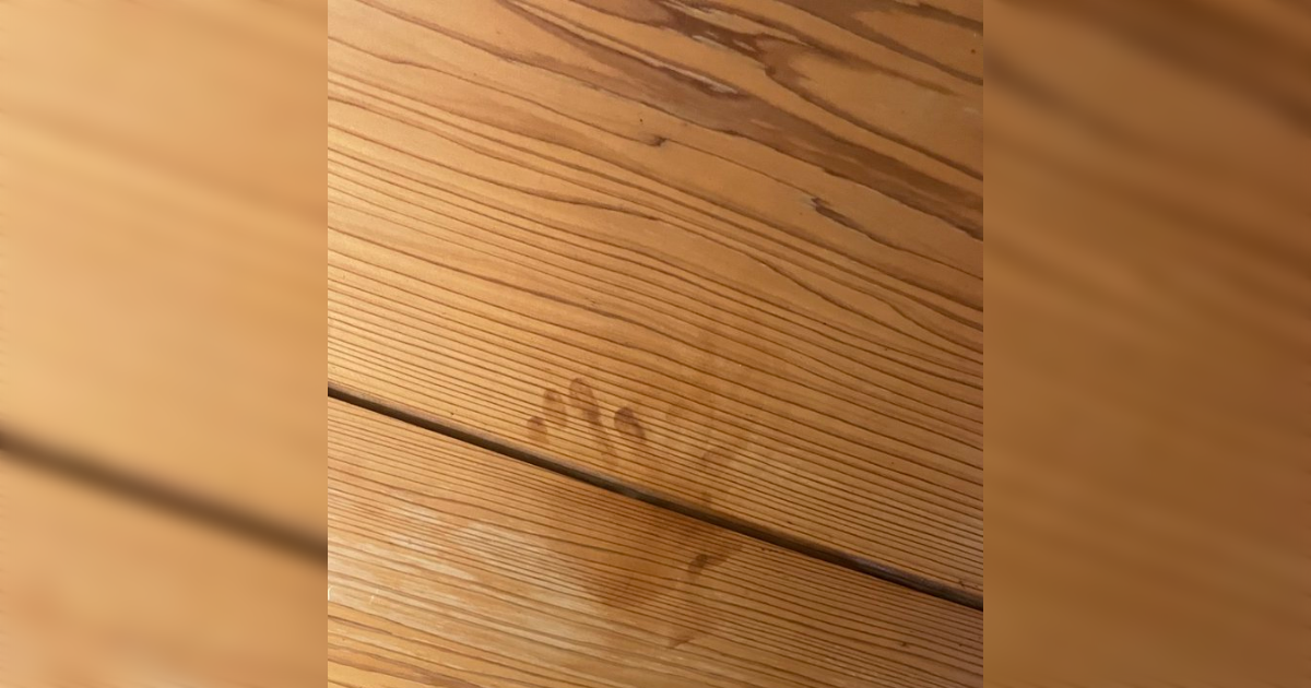 泊まっている宿の天井には手形がたくさんある…一見恐ろしいが、その原因は人間のうっかりだった - Togetter