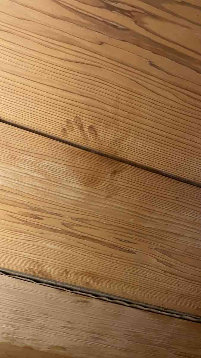 【微閲覧注意？】泊まっている宿の天井には手形がたくさんある…一見恐ろしいが、その原因は実は