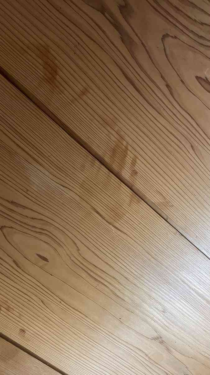 【微閲覧注意？】泊まっている宿の天井には手形がたくさんある…一見恐ろしいが、その原因は実は