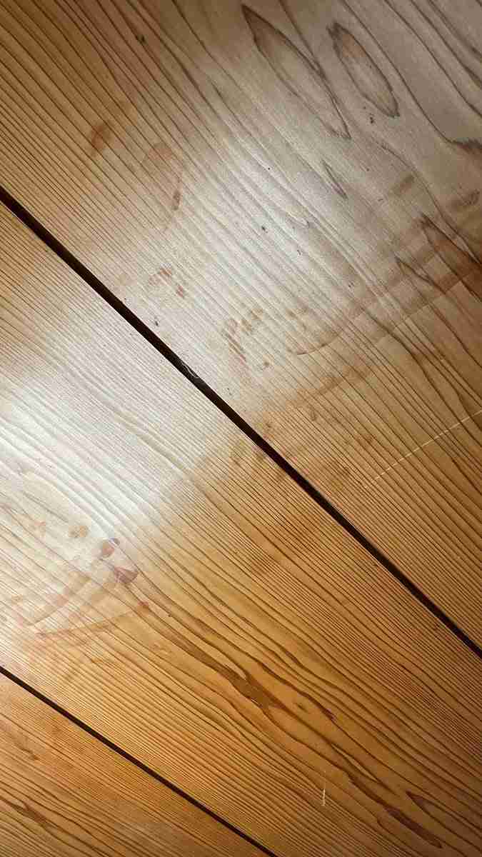 【微閲覧注意？】泊まっている宿の天井には手形がたくさんある…一見恐ろしいが、その原因は実は