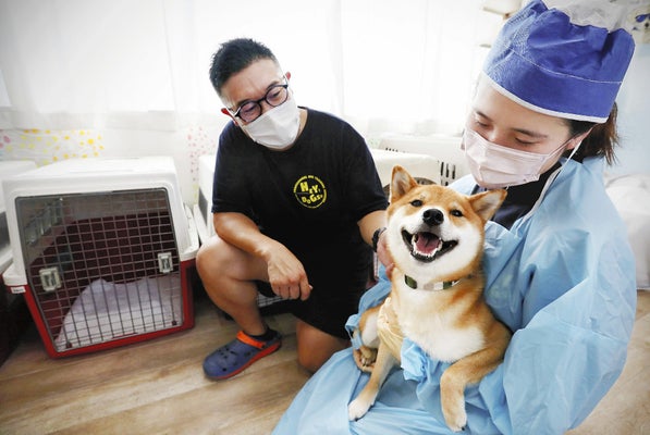 「猫の世話をする人いない」と入院固辞、自宅療養続けた男性死亡…「人ごとじゃない」の声