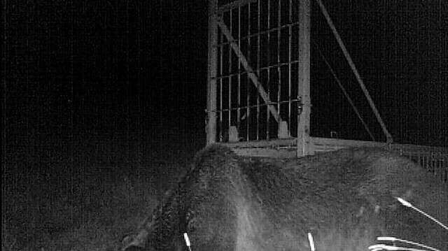 過去最多の死傷者発生…北海道でヒグマ被害が増える「本当の理由」