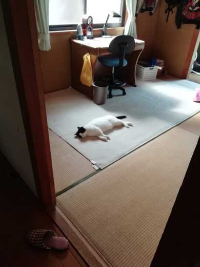 息子の部屋が臭い