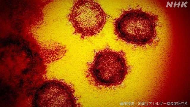 中国 ウイルス発生源めぐるアメリカの調査報告に「断固反対」 | NHKニュース