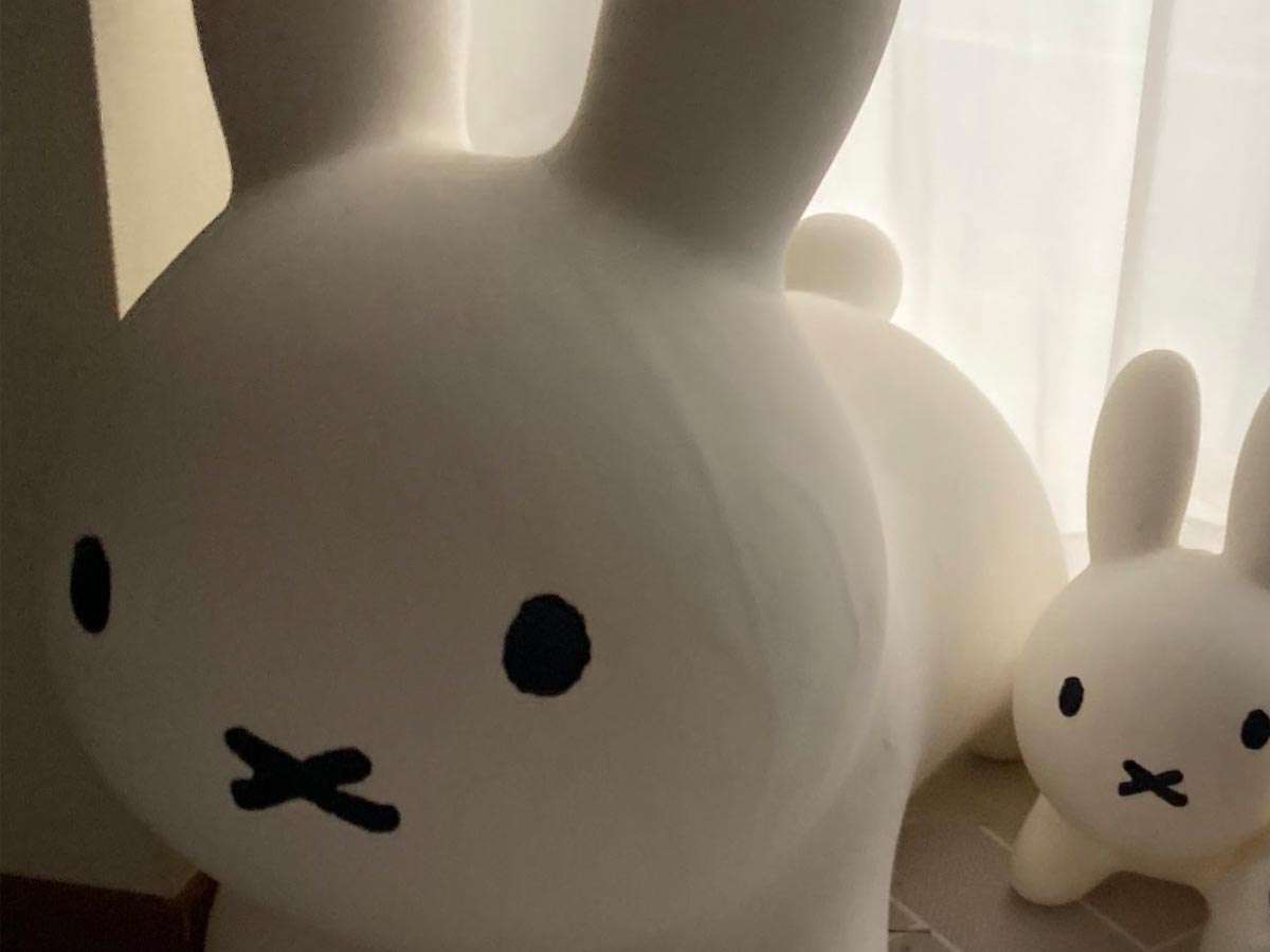 ミッフィーの横を見てみると？　広がっていた光景に「５秒見て理解した」「溶け込みすぎ」  –  grape [グレイプ]