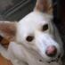 テン on Twitter: 