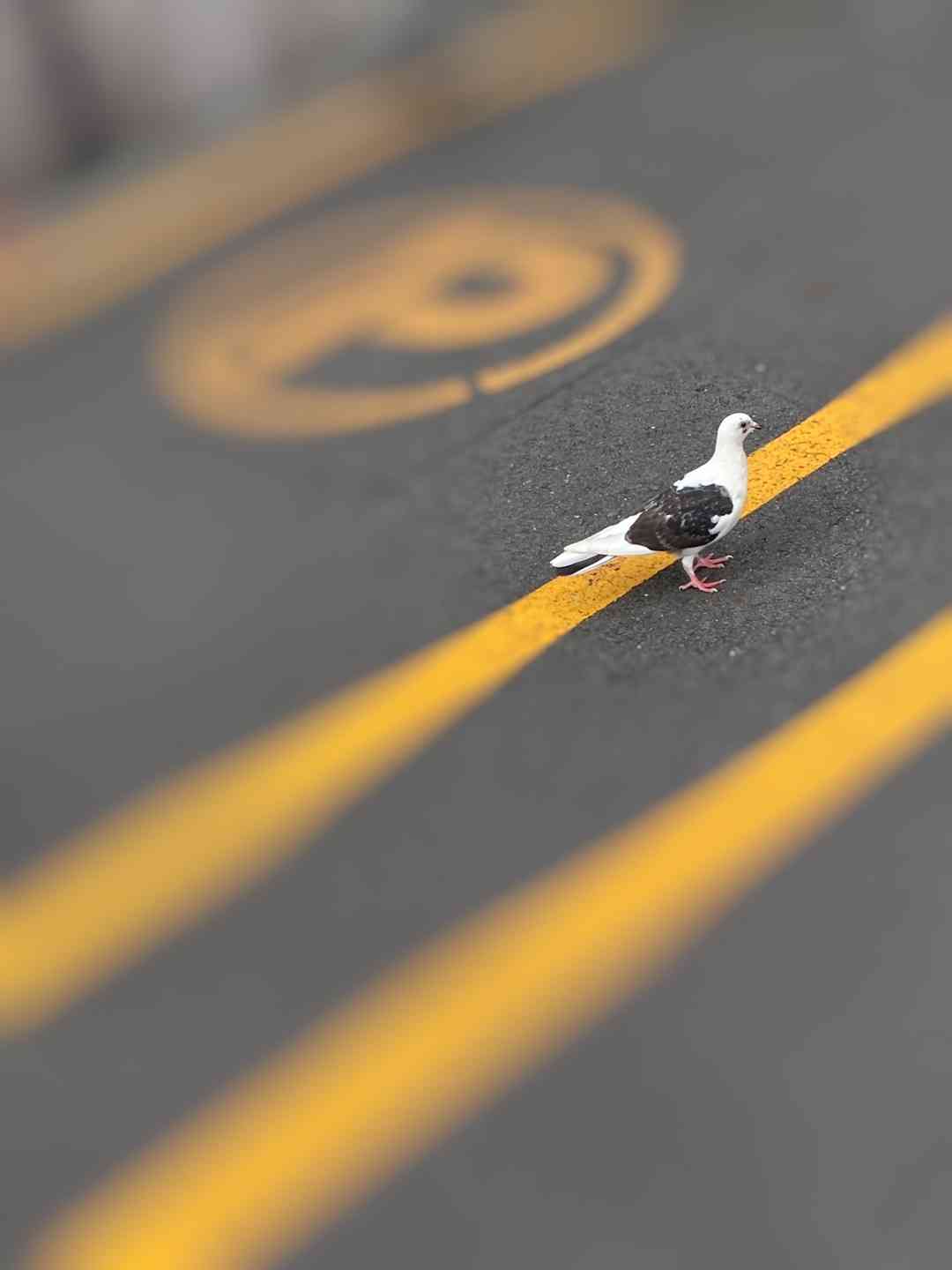 #すべきこと 岸本ゆめの | つばきファクトリー オフィシャルブログ Powered by Ameba