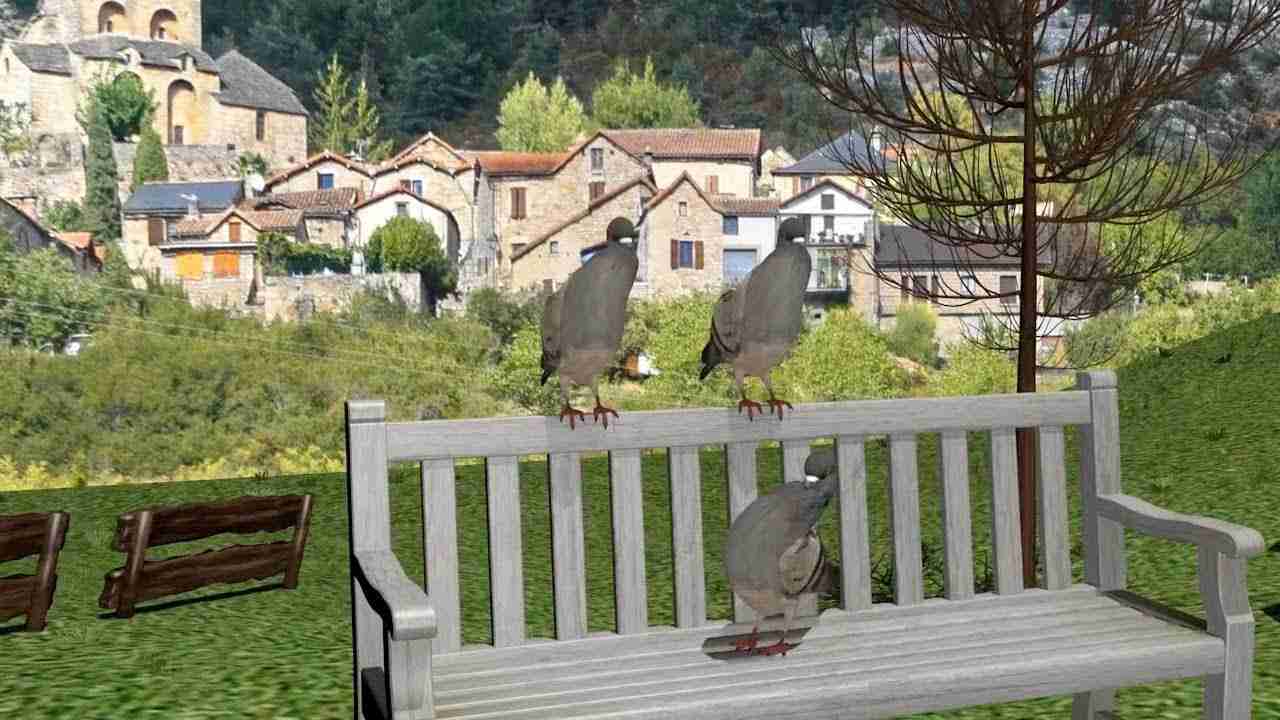 田舎でよく聞く鳥の鳴き声をEDMにしました(ハトの鳴き声)(キジバト) - YouTube