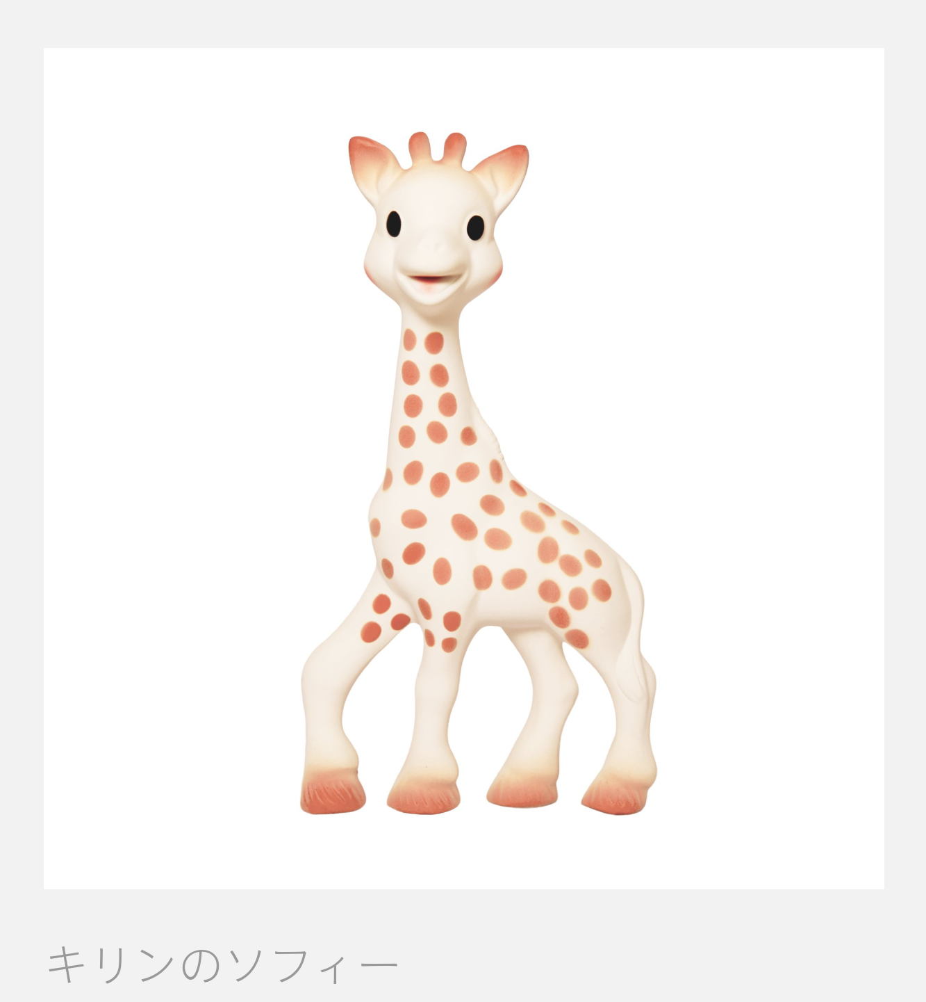 子どもが夢中になったおもちゃ