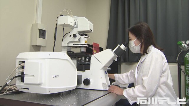 世界初の快挙…乳がんが発症しやすくなる仕組みを解明 5年以内に実用化目指す 金沢大教授が発見（石川テレビ） - Yahoo!ニュース