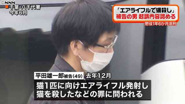 エアライフルを発射し猫を殺した男「高揚感が忘れられなかった」