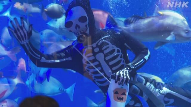 水族館でハロウィーン 「お化けダイバー」に仮装 三重 鳥羽