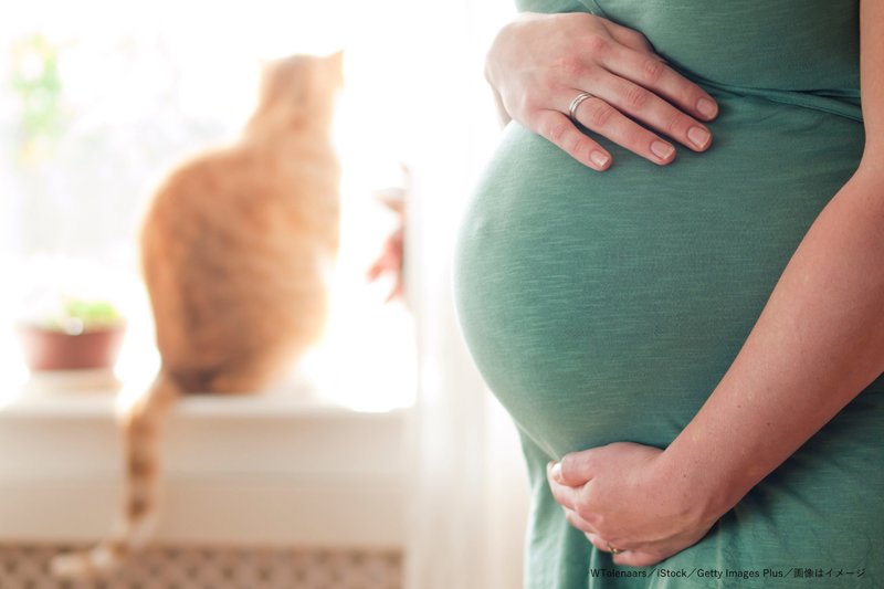 妊娠9ヶ月にして胎児が死亡する悲劇　飼い猫由来の「先天性トキソプラズマ症」か（2021年10月1日）｜BIGLOBEニュース