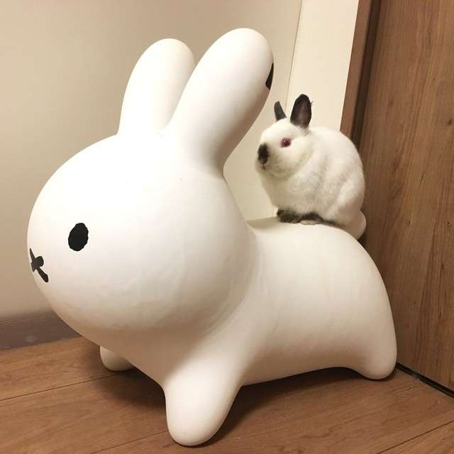 ミッフィーの横を見てみると？　広がっていた光景に「５秒見て理解した」「溶け込みすぎ」