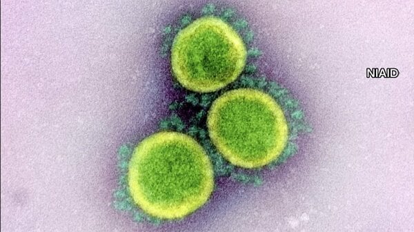 新型コロナ 東京都で新たに36人の感染を確認 5日連続50人下回る