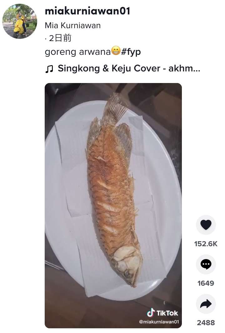 水槽を掃除しないから 夫の飼っているアロワナを揚げ物料理にした妻 インドネシア ガールズちゃんねる Girls Channel