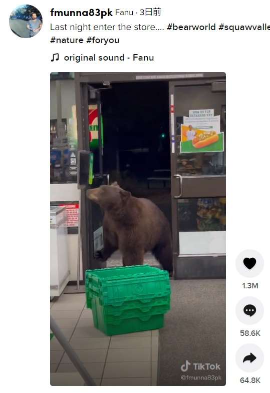 コンビニにやってきたクマがアルコール消毒　店員恐怖もネット上は「人間より人間らしい」と大笑い（米）
