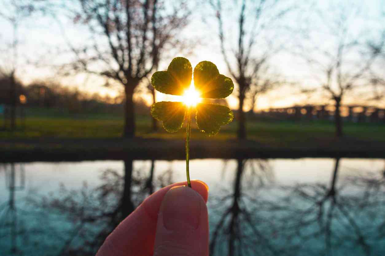 人生で運の割合は何%だと思いますか？