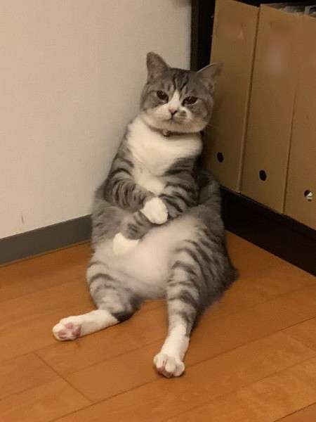 これからワクチン打つ人同士で励まし合うトピ Part3