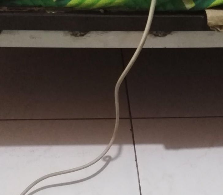 これ本当なの？と思った画像を貼るトピ