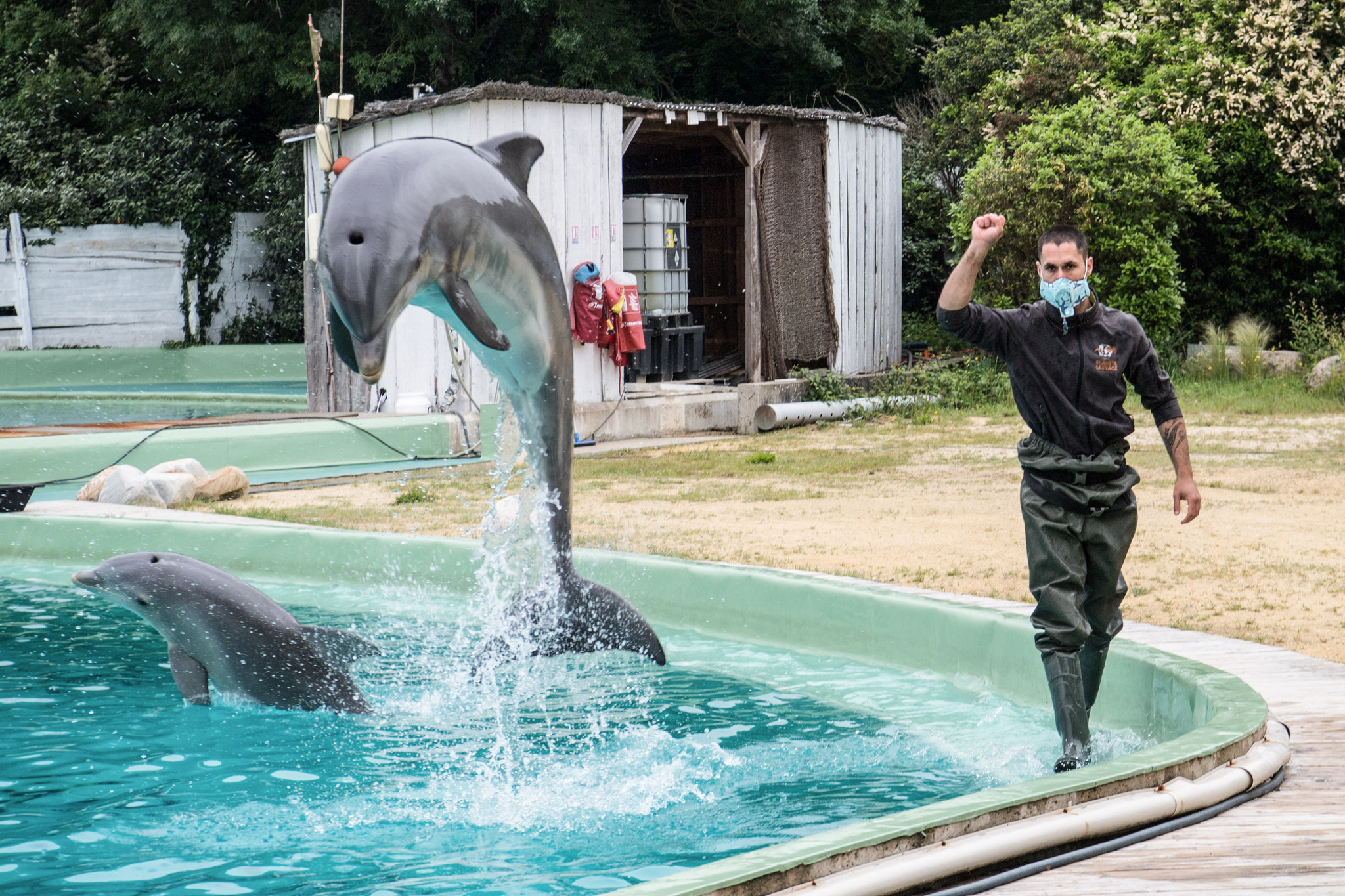 仏、イルカなどの動物ショーを禁止 法案可決（ＡＦＰ＝時事） - Yahoo!ニュース