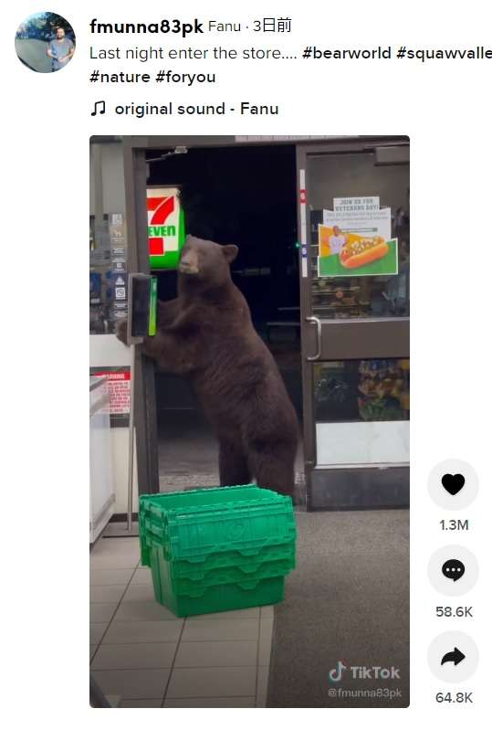 コンビニにやってきたクマがアルコール消毒　店員恐怖もネット上は「人間より人間らしい」と大笑い（米）