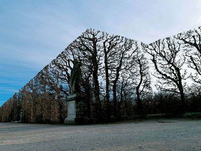 これ本当なの？と思った画像を貼るトピ