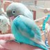 レオンロイサン on Twitter: 