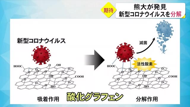 新型コロナウイルスの除去効果のある物質　熊本大学が発見（TKUテレビ熊本） - Yahoo!ニュース