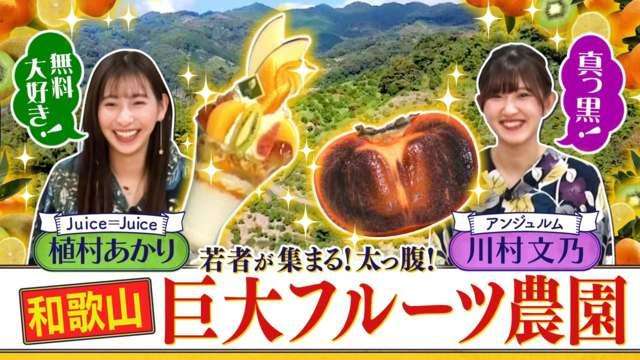 西乃風ブラン堂｜民放公式テレビポータル「TVer（ティーバー）」 - 無料で動画見放題