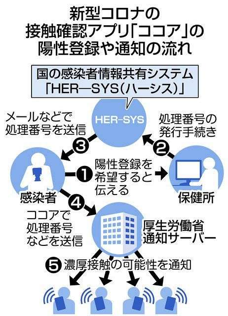 陽性申告者の利用はわずか2％　コロナ接触確認アプリ「COCOA」導入から1年　：東京新聞 TOKYO Web