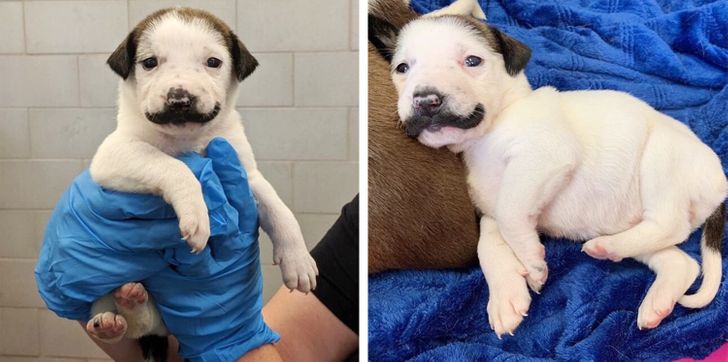 これ本当なの？と思った画像を貼るトピ