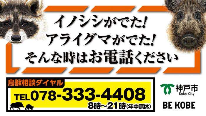 神戸市：有害鳥獣被害対策について
