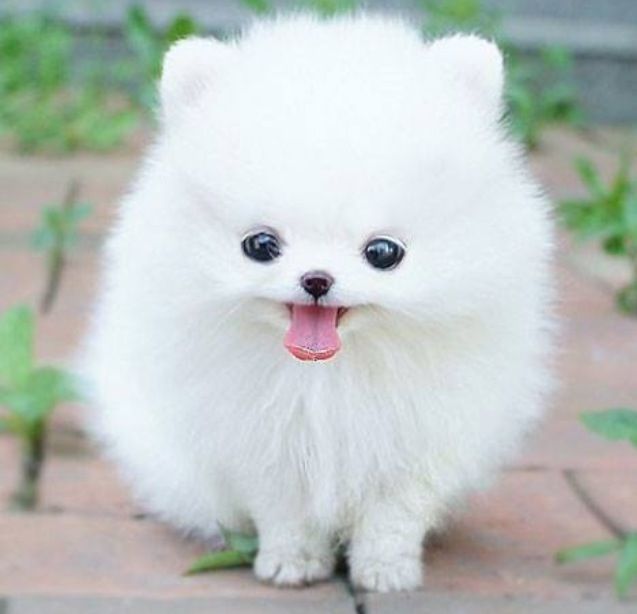 これ本当なの？と思った画像を貼るトピ