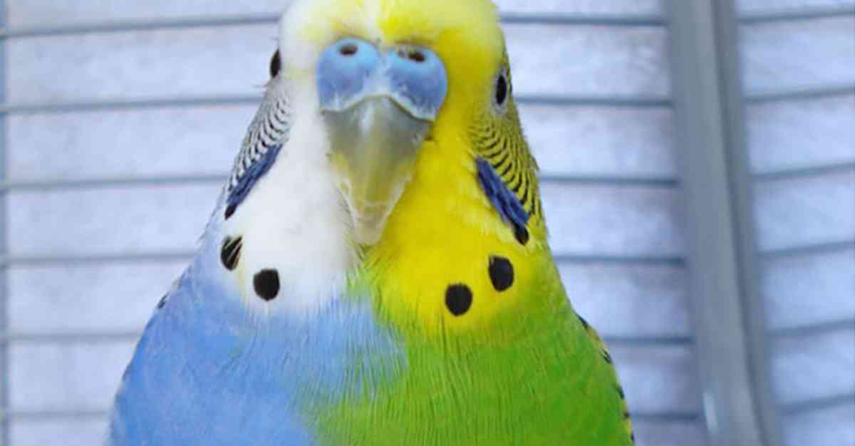 これ本当なの？と思った画像を貼るトピ