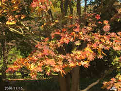 英国・患者急増「スーパーコールド」とは TBSテレビ【ＴＨＥ　ＴＩＭＥ，】｜ＪＣＣテレビすべて