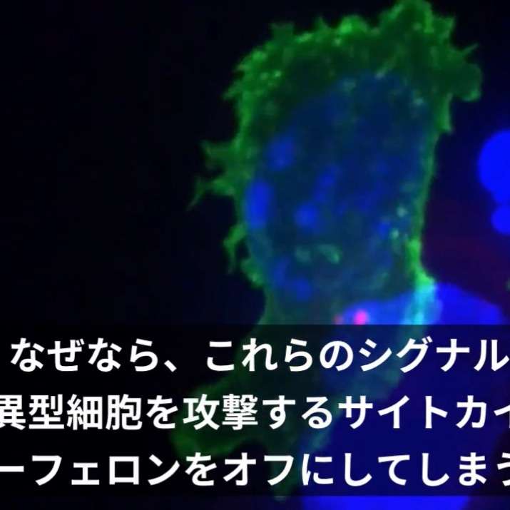 「例年の20倍」のガン発生率 | ジャスミンK のブログ