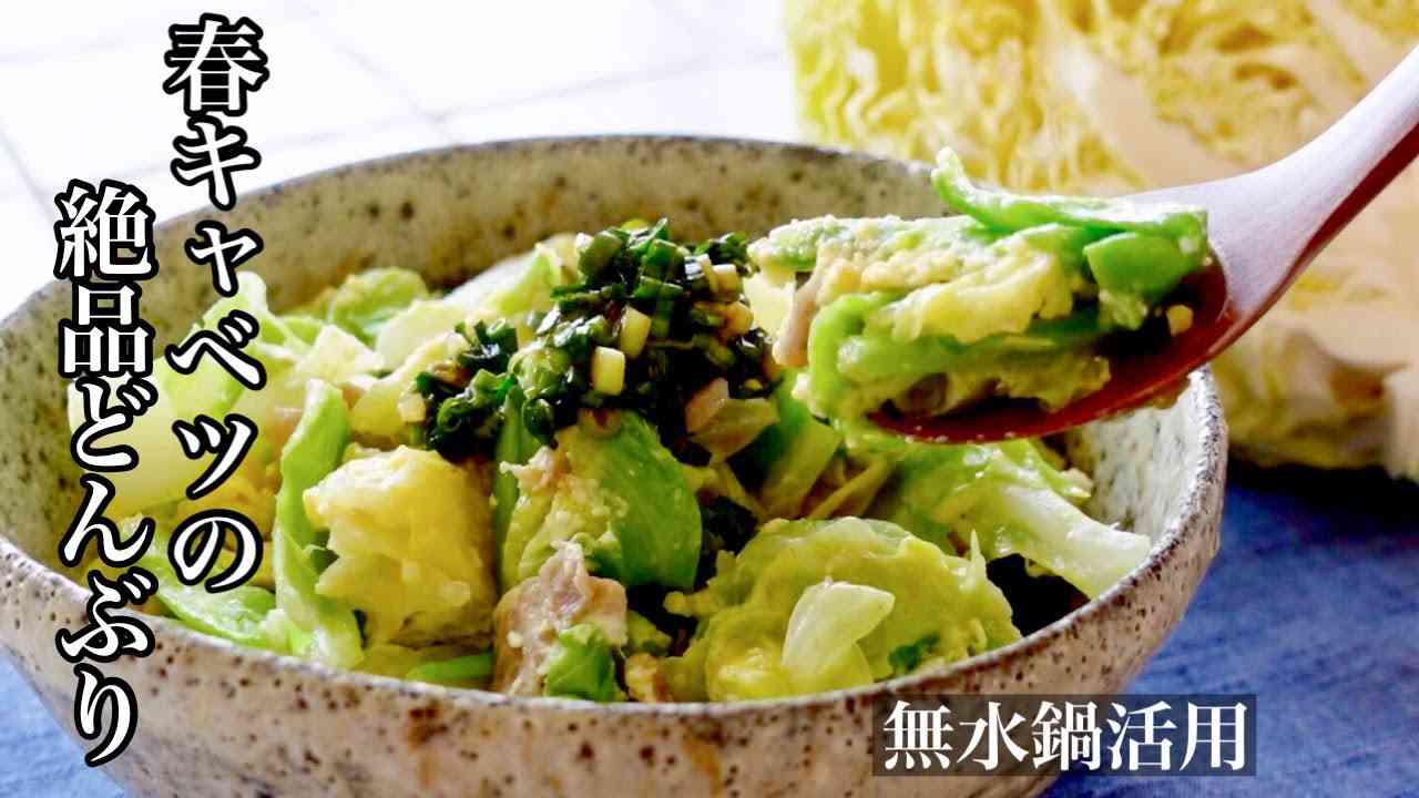 【春キャベツ】旬の春キャベツがたっぷり入った絶品どんぶり? 美味しいキャベツ丼レシピ - YouTube