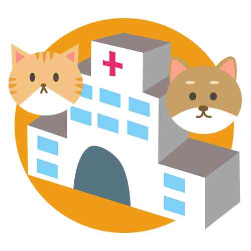 愛犬に「病院行こっか！」と話しかけたら…　ワンコが浮かべた「絶望顔」が強烈すぎて愛おしい