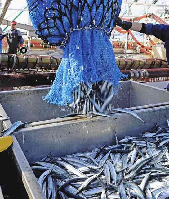 サンマ、取れないし小さいし　漁獲低迷「漁に出るほど赤字に」：中日新聞Web