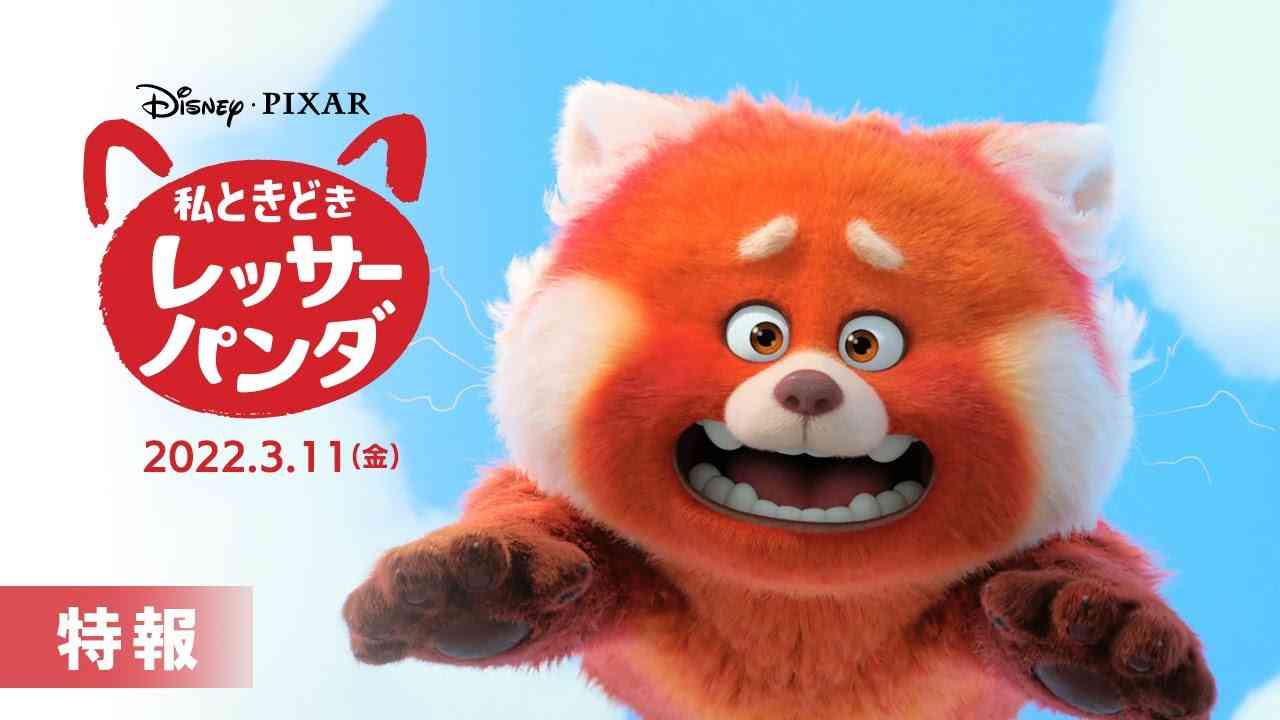 「私ときどきレッサーパンダ」特報 - YouTube