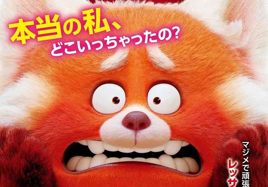 ピクサー新作『私ときどきレッサーパンダ』来年3.11公開決定！ポスター＆特報も｜シネマトゥデイ