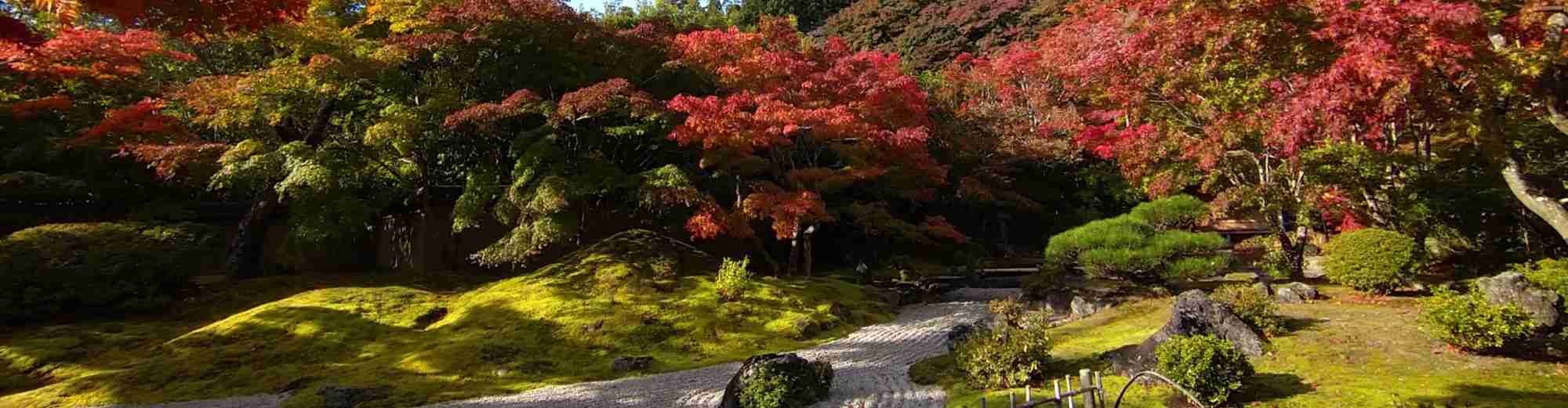 現代中国語の7割は日本語？ | ジェスコーポレーション 社長ブログ