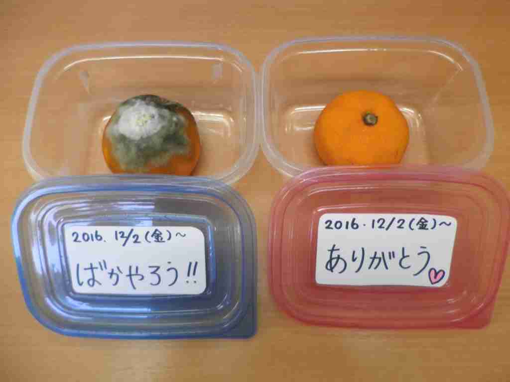 女性の自殺15%増、7千人　非正規拡大が一因　全体は11年ぶり増