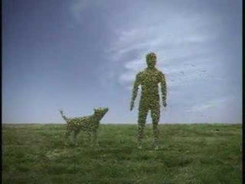 AC Stop Ondanka - YouTube