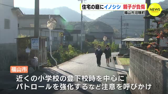 住宅の庭にイノシシ　親子が負傷　広島・福山市 | RCC NEWS | 広島ニュース | RCC中国放送